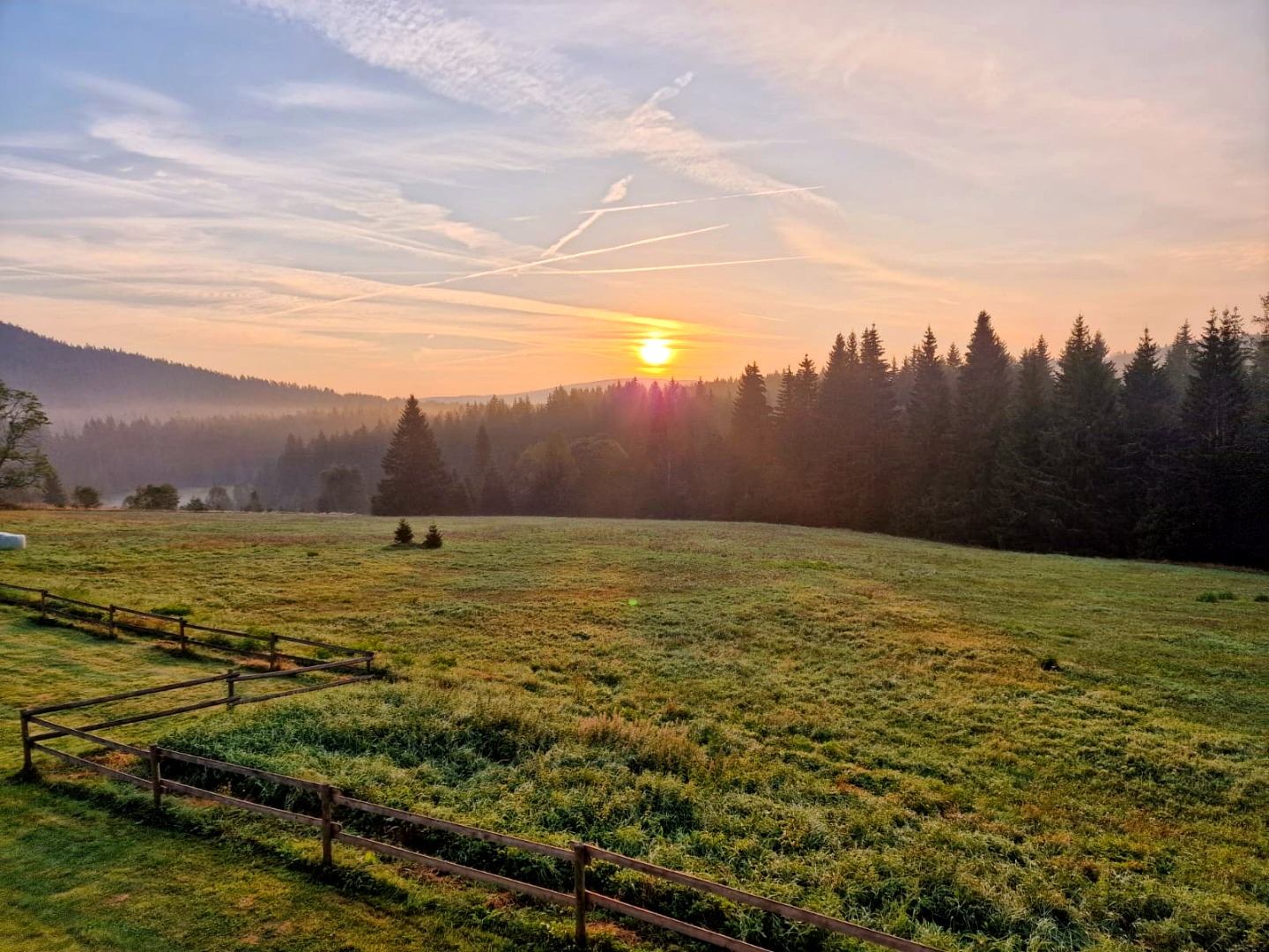 Ranní východ slunce nad šumavskou loukou s mlhou a lesy