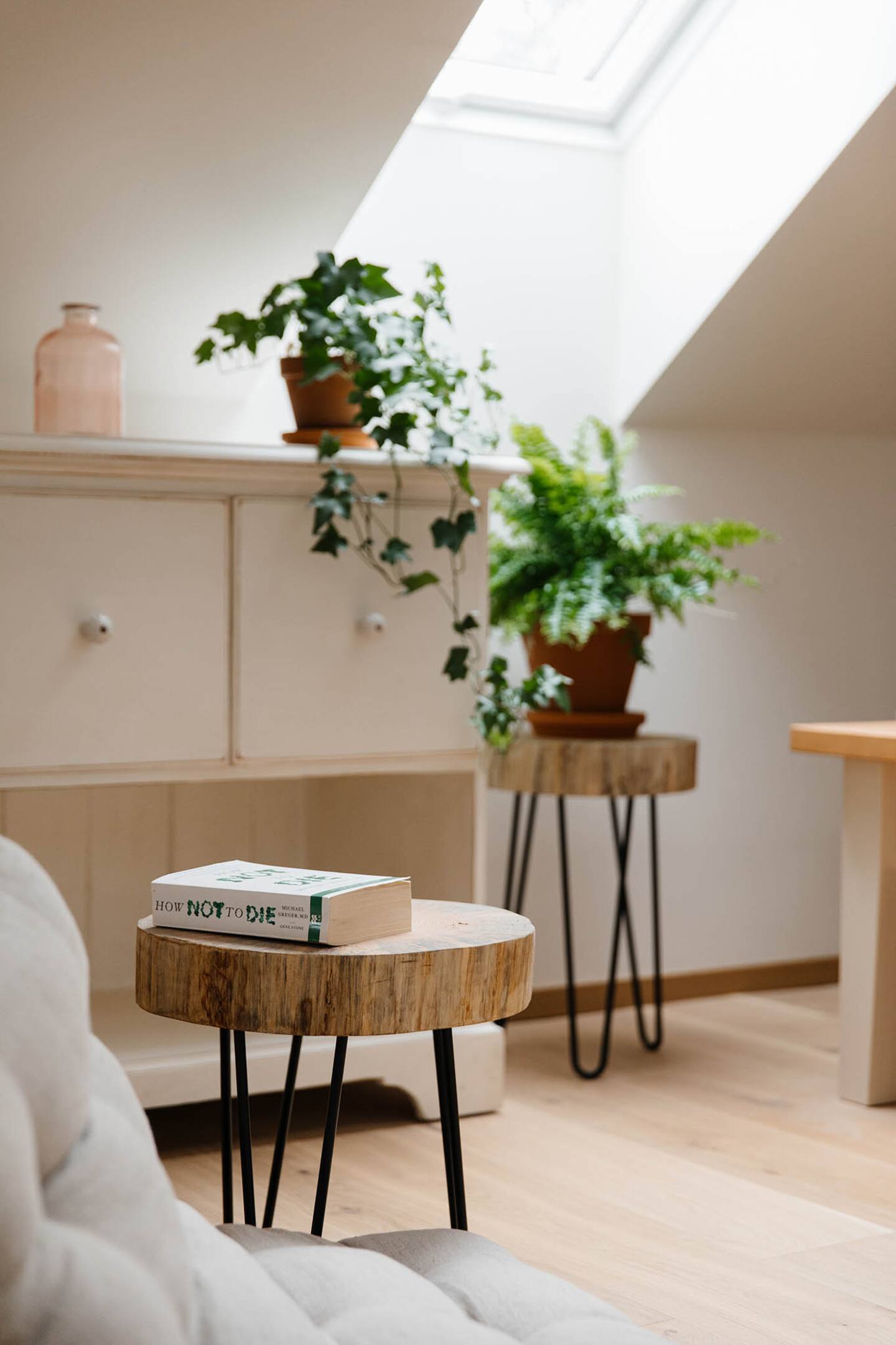 Jelen – detail s pařezovým stolkem a rostlinami